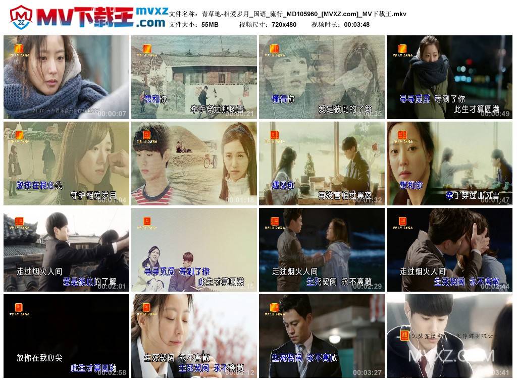 青草地-相爱岁月_国语_流行_MD105960